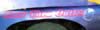 RaceCar04_08_05_036.jpg (22kb)