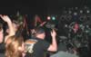 Fawn02_18_06_172.jpg (41kb)