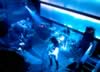 Diesel03_01_07_085.jpg (50kb)