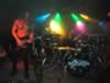 Fawn06_11_05_071.jpg (43kb)
