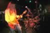 BlueHaven09_24_05_057.jpg (51kb)