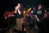 fawn11_24_04_006.jpg (42kb)